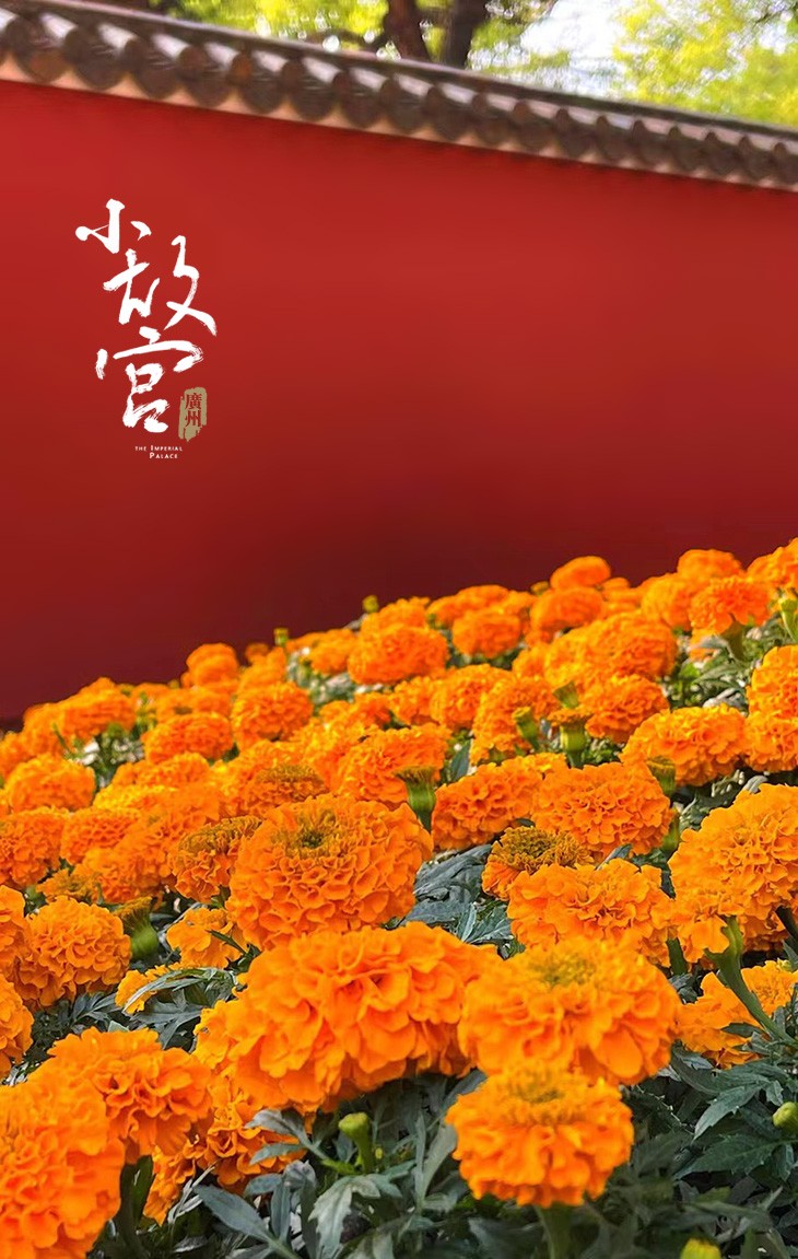微信图片_20230310233153.jpg